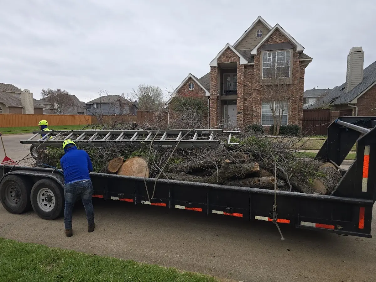 Expert Tree Pest Control with proper safety equipment in East Hampton